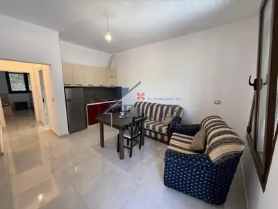 Apartament 1+1 me qera në Mëzez, Tiranë, 60 m². Foto 3 nga 9