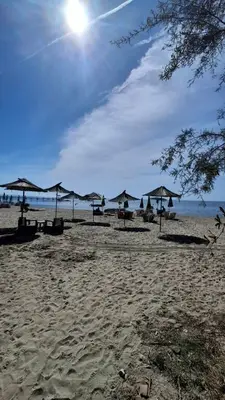 Bar or restaurant for rent in Currila, Durrës, 650 m². Photo 10 of 12
