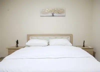 Apartament 2+1 me qera në Rruga Kongresi i Manastirit, Tiranë, 80 m². Foto 4 nga 12