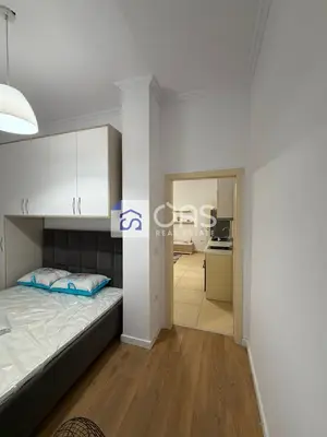 Apartment 1+1 for rent in Kopshti Botanik, Tirana, 50 m². Photo 3 of 4