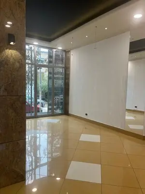 Dyqan me qera në Sheshi Willson, Tiranë, 100 m². Foto 4 nga 12