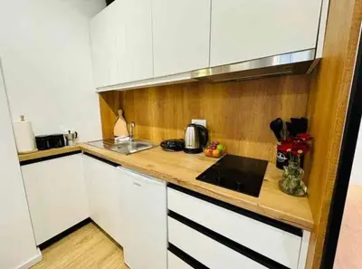 Studio for rent in Xhamia e Tabakeve, Tirana, 40 m². Photo 3 of 8