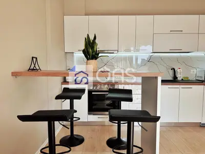 Apartment 1+1 for rent in Rruga e Elbasanit, Tirana, 60 m². Photo 2 of 9