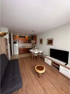 Apartment 1+1 for rent in Rruga e Bogdanëve, Tirana, 60 m². Photo 1 of 3