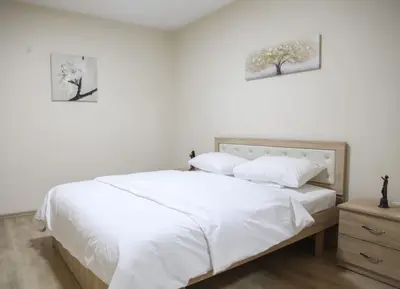 Apartament 2+1 me qera në Rruga Kongresi i Manastirit, Tiranë, 80 m². Foto 6 nga 12