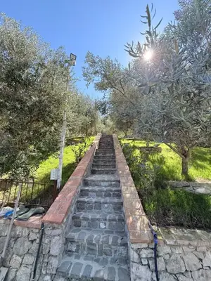 Vilë me qera në Petrelë, Tiranë, 180 m². Foto 2 nga 11