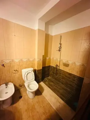 Apartment 4+1 for rent in Rruga e Durrësit, Tirana, 250 m². Photo 10 of 10