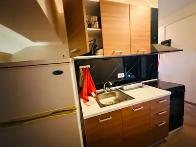 Apartment 4+1 for rent in Rruga e Durrësit, Tirana, 250 m². Photo 9 of 10