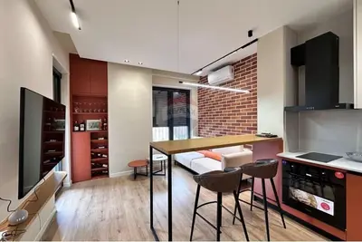 Apartament 1+1 me qera në Rruga Karl Gega, Tiranë, 60 m². Foto 1 nga 9