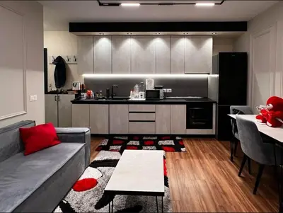 Apartment 1+1 for rent in Komuna e Parisit, Tirana, 70 m². Photo 2 of 7