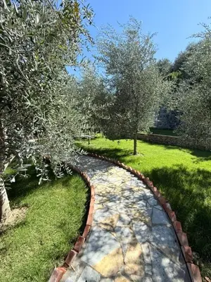 Casa indipendente in affitto a Petrelë, Tirana, 180 m². Foto 9 di 11