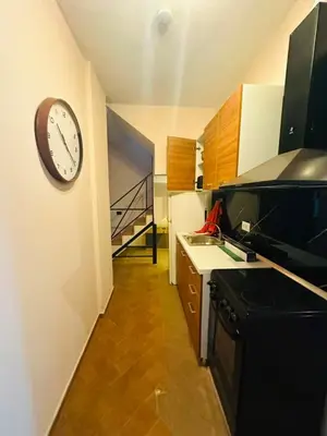 Apartment 4+1 for rent in Rruga e Durrësit, Tirana, 250 m². Photo 2 of 10