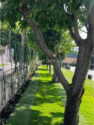 Vilë me qera në Nënë Tereza, Kamëz, 1 300 m². Foto 3 nga 5