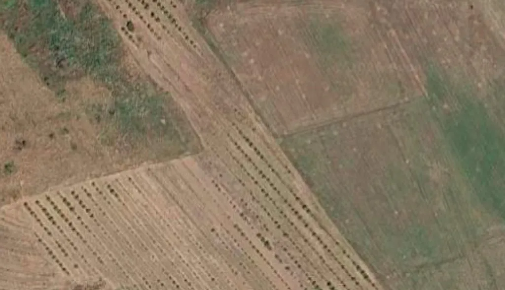 Tokë me qera në Vore, Vorë, 10 000 m². Foto 1 nga 1