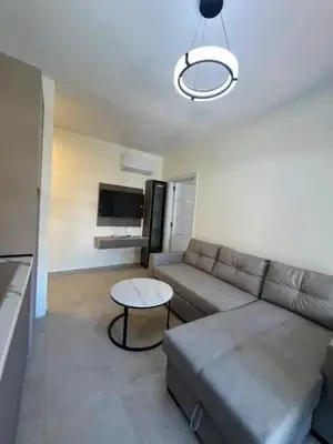 Vilë 1+1 me qera në Rruga e Dibrës, Tiranë, 50 m². Foto 1 nga 5