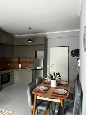 Appartamento 1+1 in affitto ad Oxhaku, Tirana, 65 m². Foto 3 di 8
