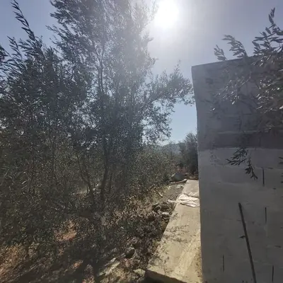 House 1+1 for rent in Prush, Tirana, 1,000 m². Photo 6 of 7