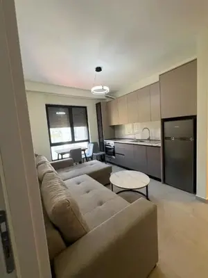 Vilë 1+1 me qera në Rruga e Dibrës, Tiranë, 50 m². Foto 4 nga 5