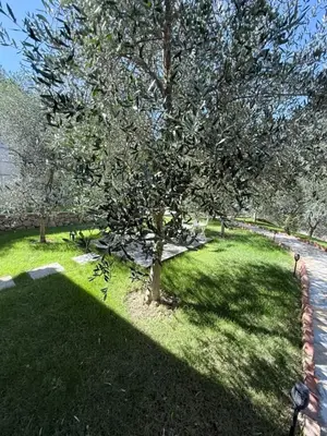 Casa indipendente in affitto a Petrelë, Tirana, 180 m². Foto 10 di 11