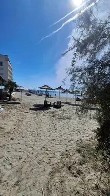 Bar or restaurant for rent in Currila, Durrës, 650 m². Photo 7 of 12