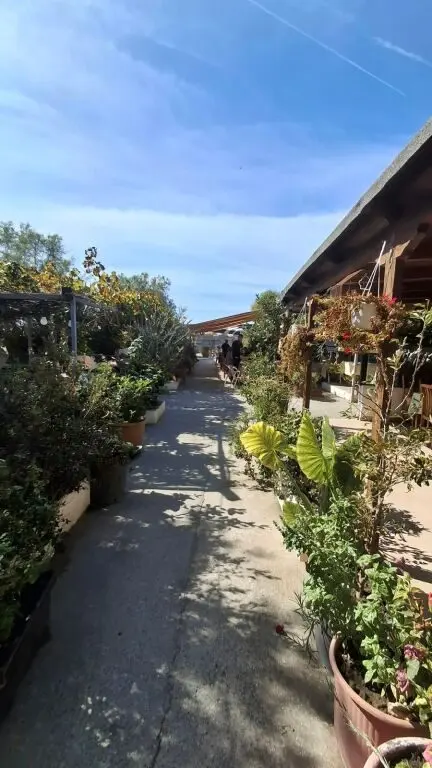 Locale in affitto a Currila, Durazzo, 650 m²