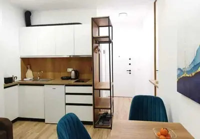 Studio for rent in Xhamia e Tabakeve, Tirana, 40 m². Photo 5 of 8