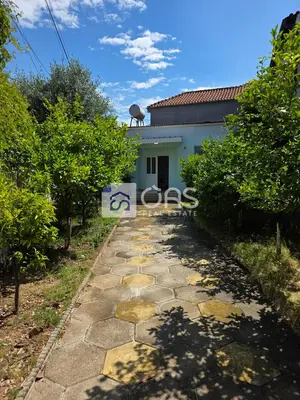 House 1+1 for rent in Allias, Tirana, 180 m². Photo 2 of 7