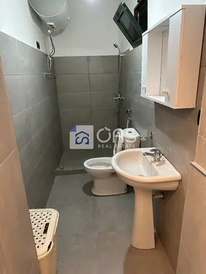 Studio for rent in Komuna e Parisit, Tirana, 45 m². Photo 4 of 4