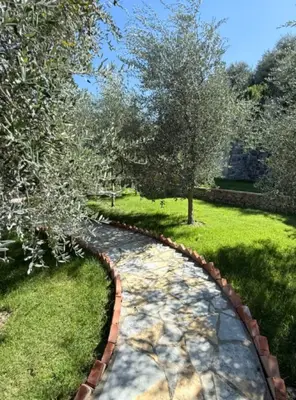 Villa in affitto a Petrelë, Tirana, 180 m². Foto 2 di 9
