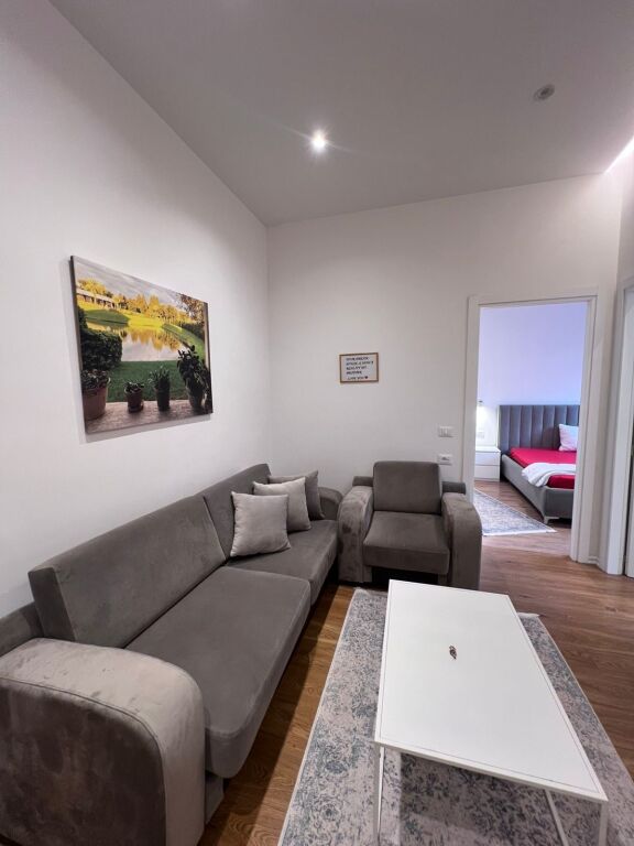 Apartament 2+1 me qera në Rruga e Durrësit, Tiranë, 90 m². Foto 1 nga 3